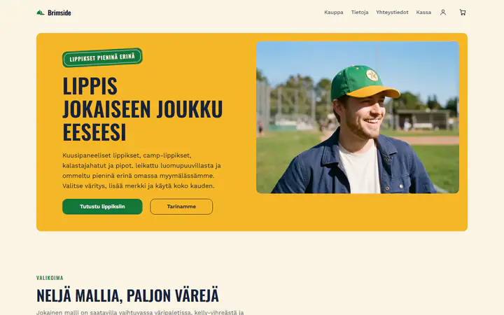 Lippikset ja hatut