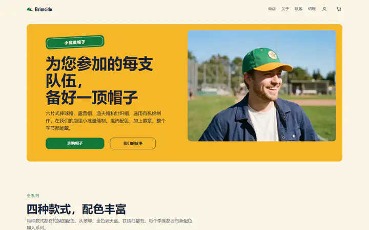 棒球帽与帽子