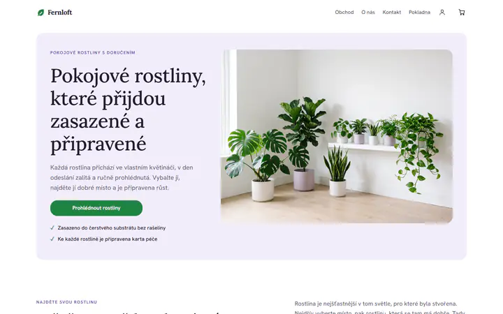 Pokojové rostliny