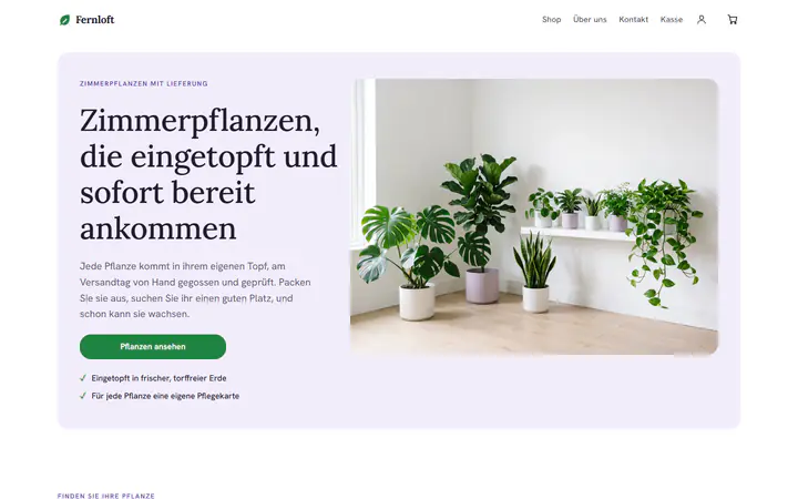 Zimmerpflanzen