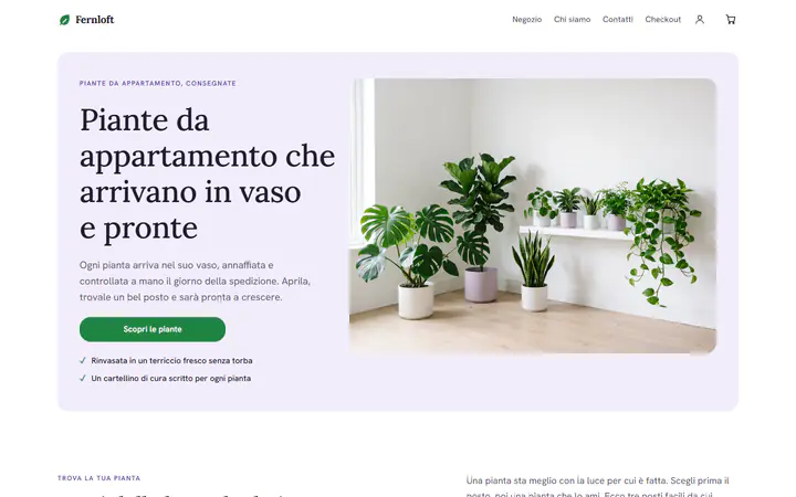 Piante da appartamento