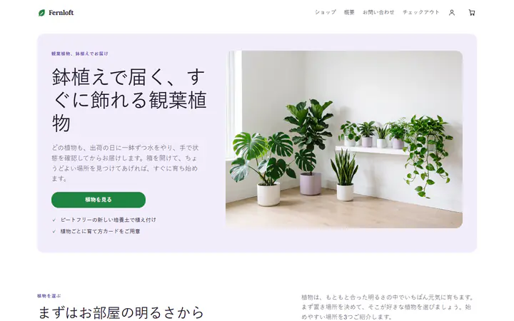観葉植物