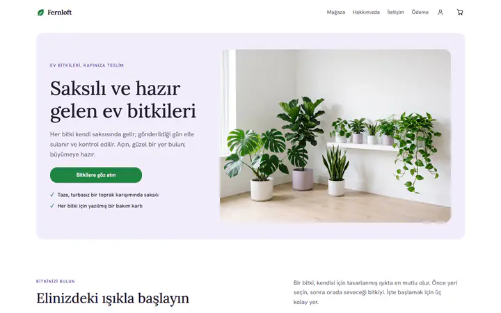 Ev bitkileri