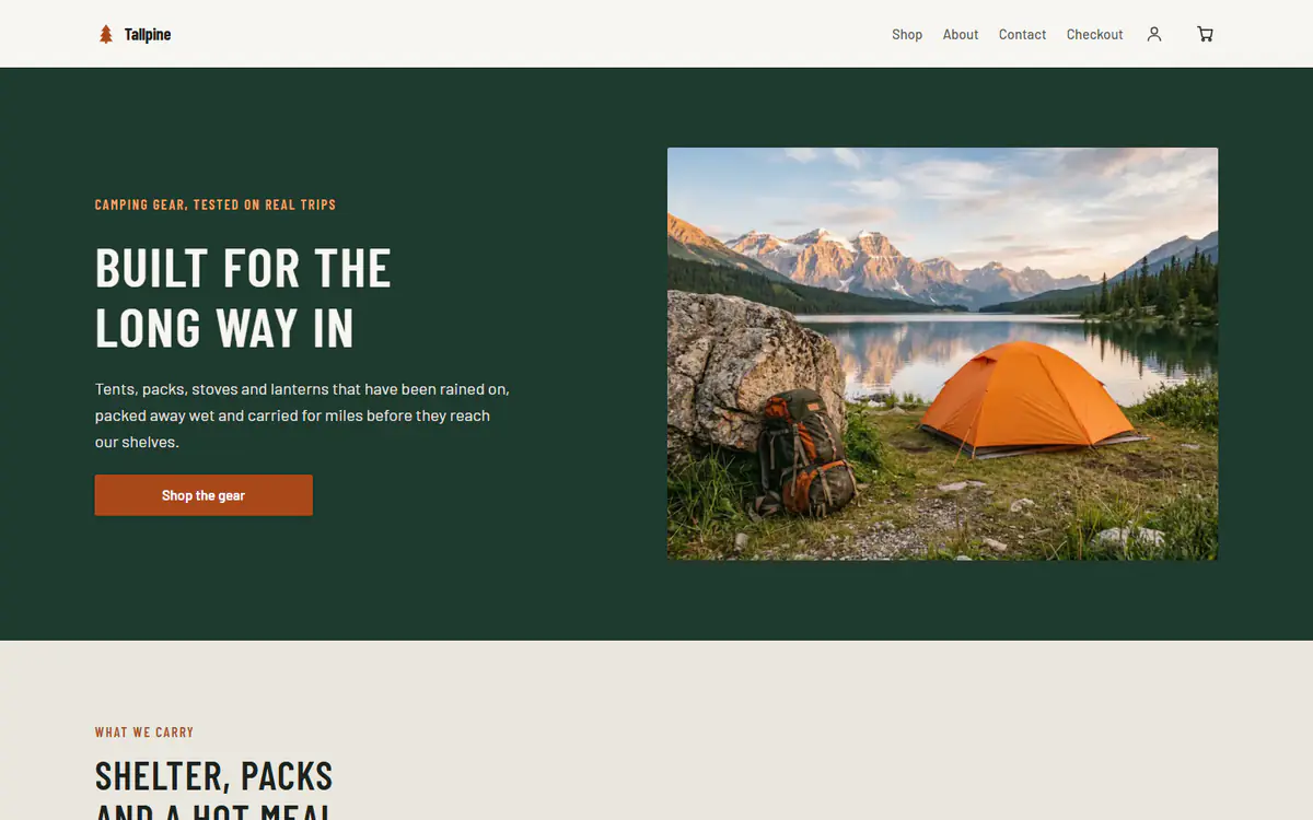 Camping gear store template, on a computer