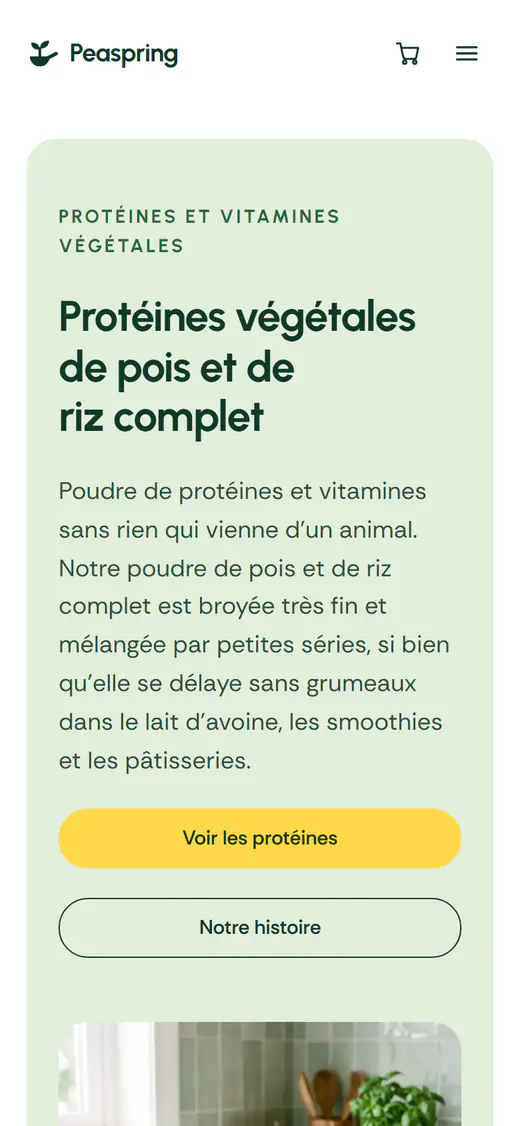 Modèle de boutique de compléments alimentaires, sur téléphone
