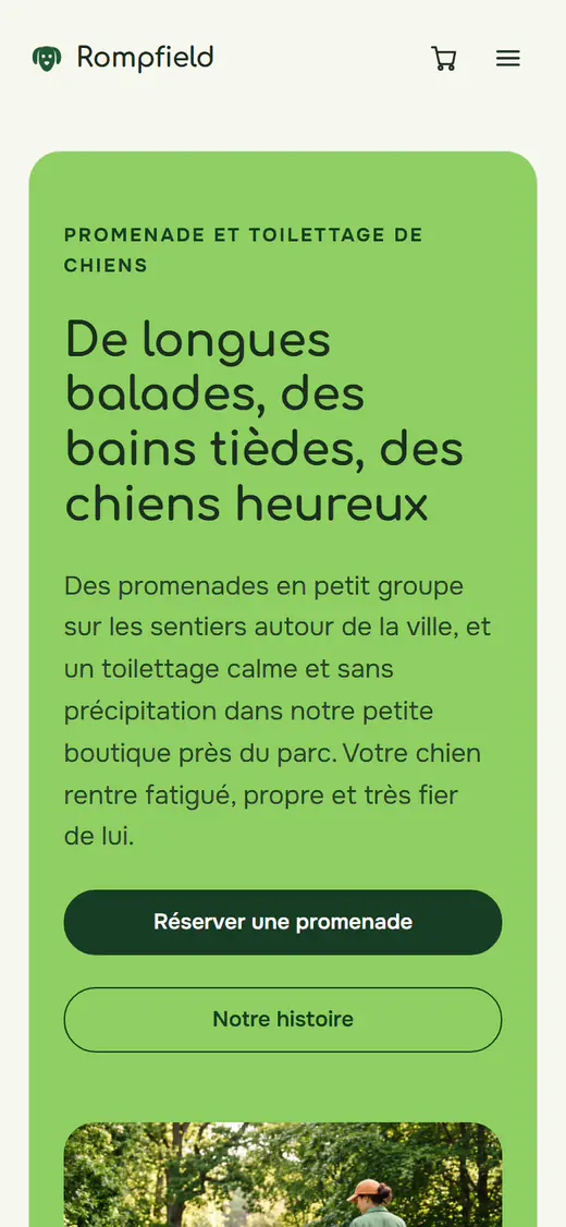 Modèle de site pour promenade et toilettage de chiens, sur téléphone