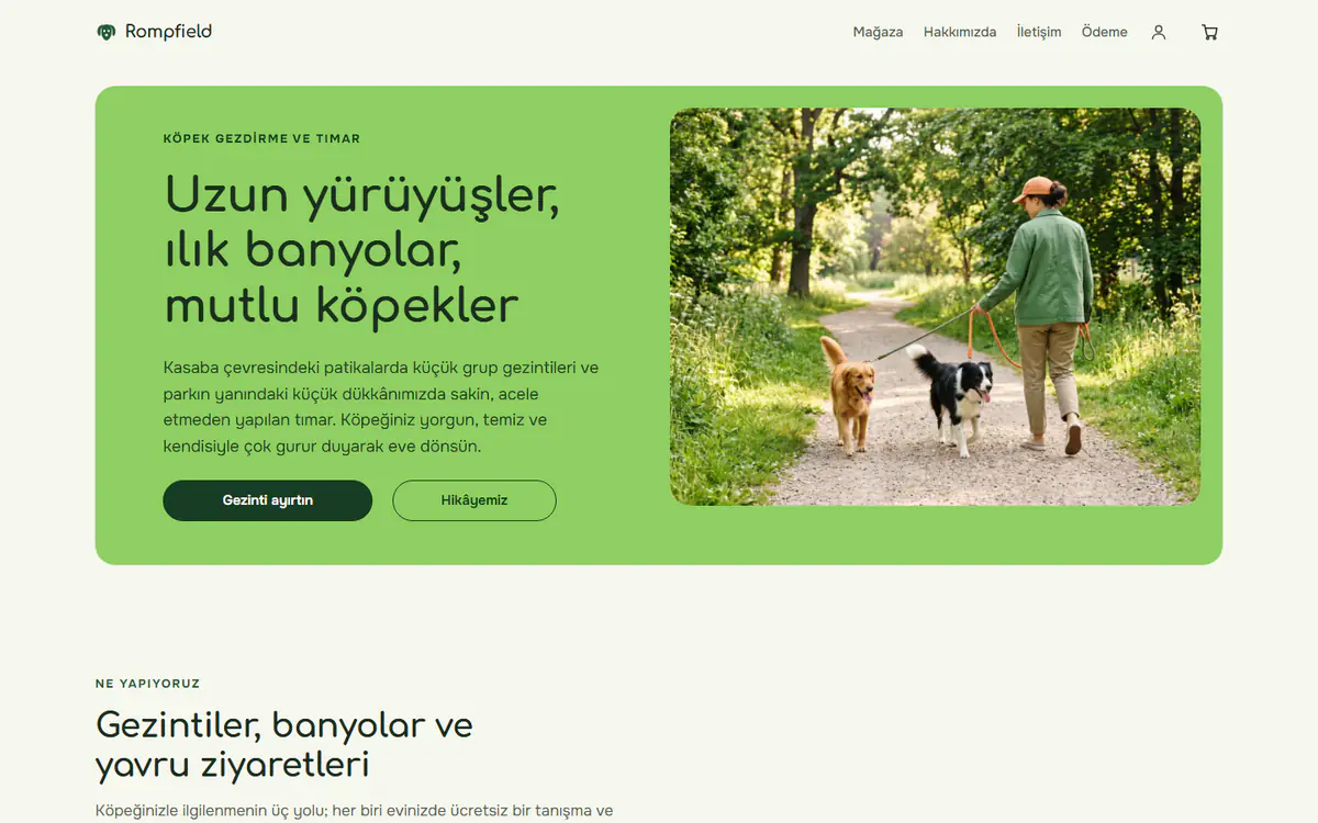 Köpek gezdirme ve tımar web sitesi şablonu, bilgisayarda