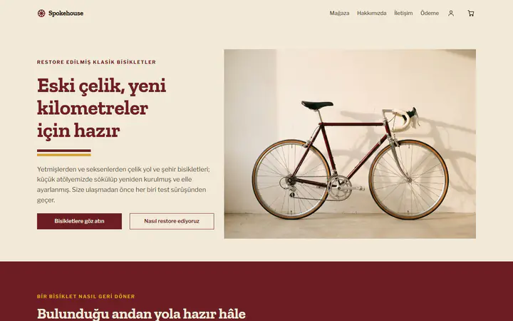 Vintage bisikletler