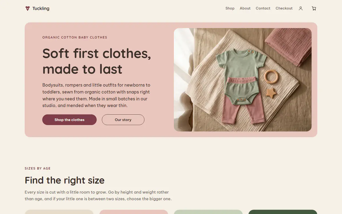 Baby and kids clothing store template, on a computer